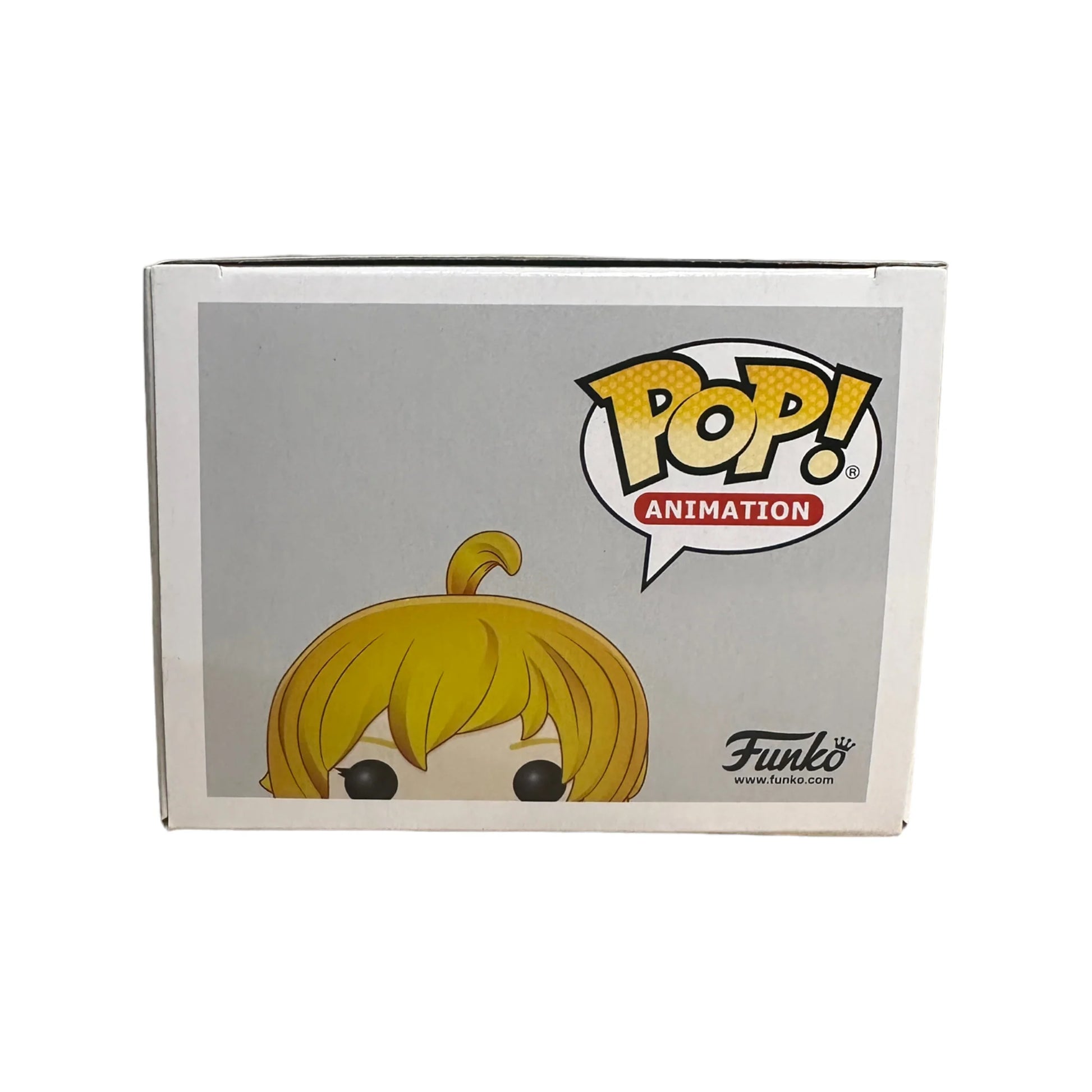 Yang Xiao Long #589 Funko Pop! - RWBY - 2019 Pop! - Condition 8.5\/10